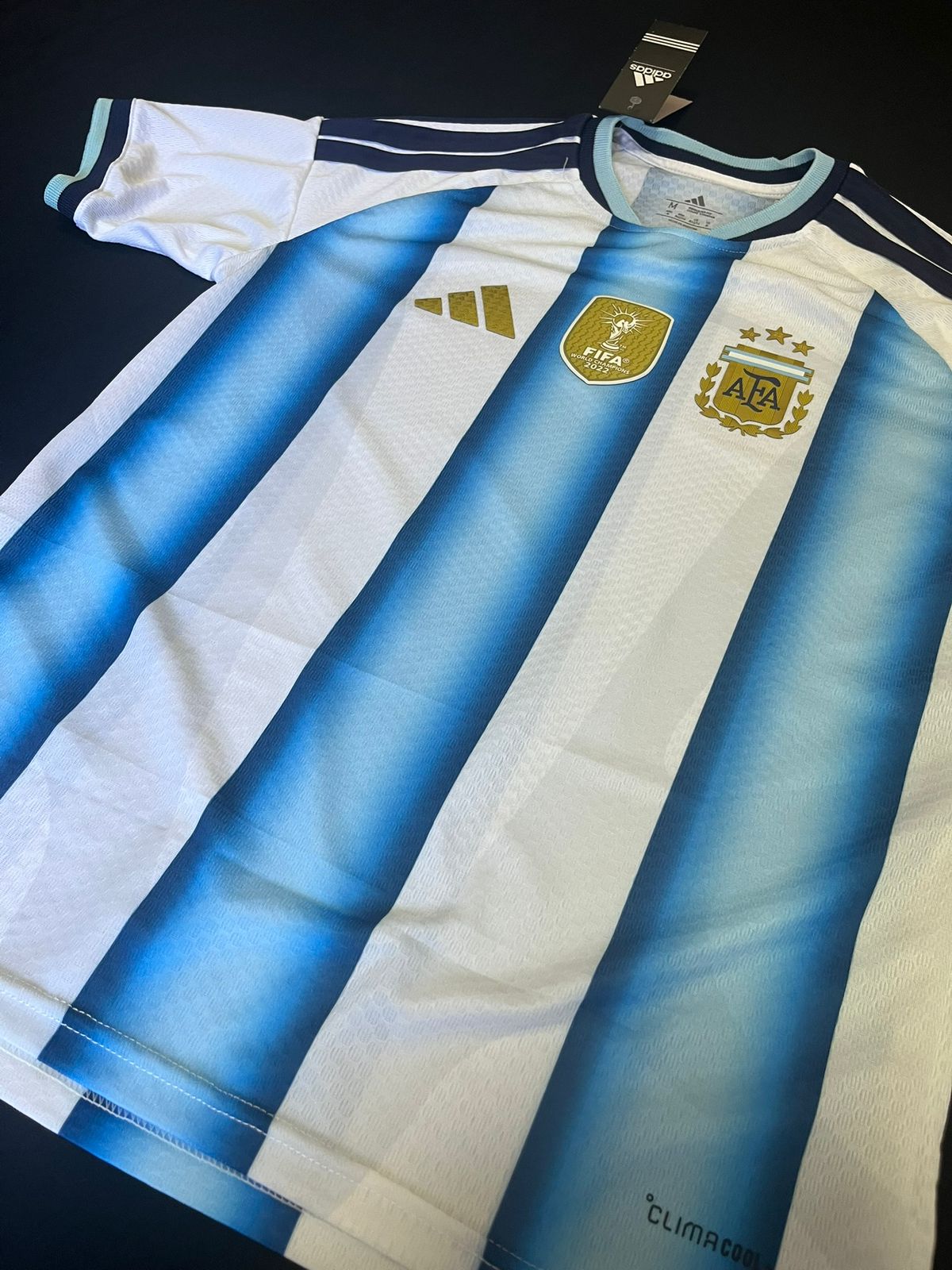 Remera Argentina