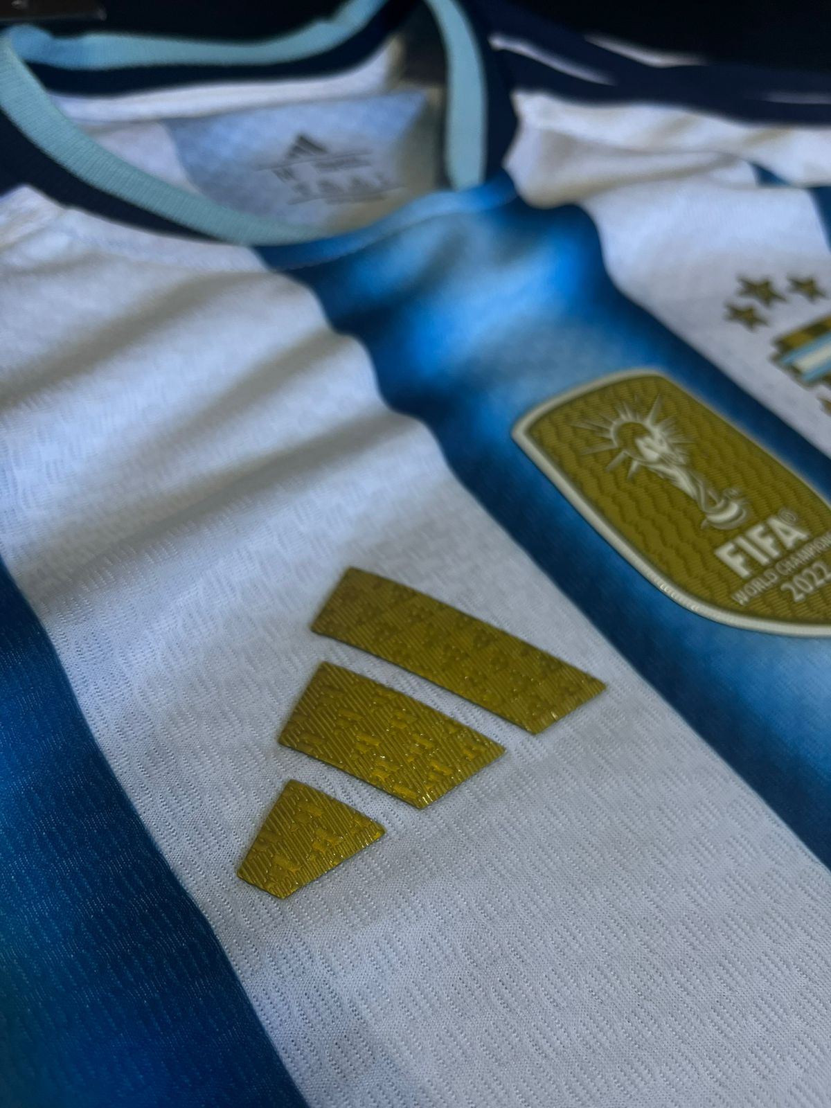 Remera Argentina