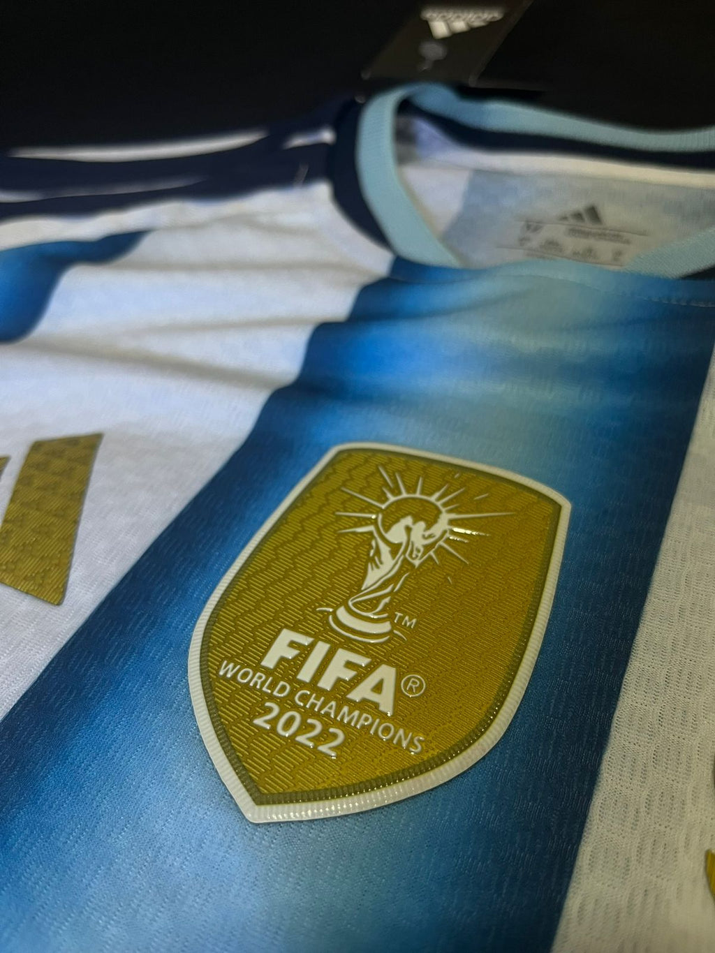 Remera Argentina