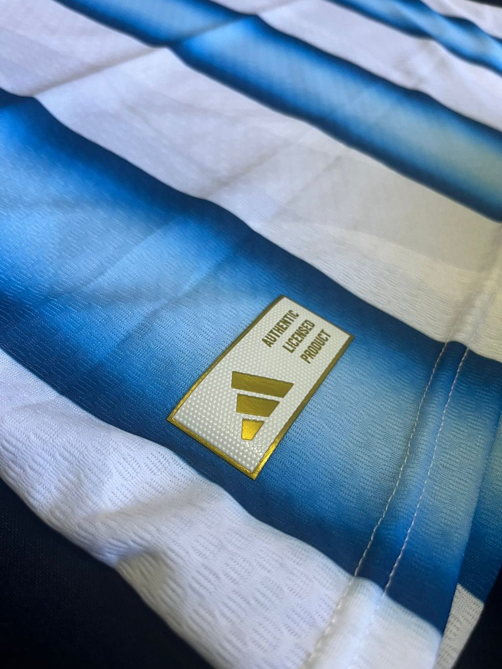 Remera Argentina