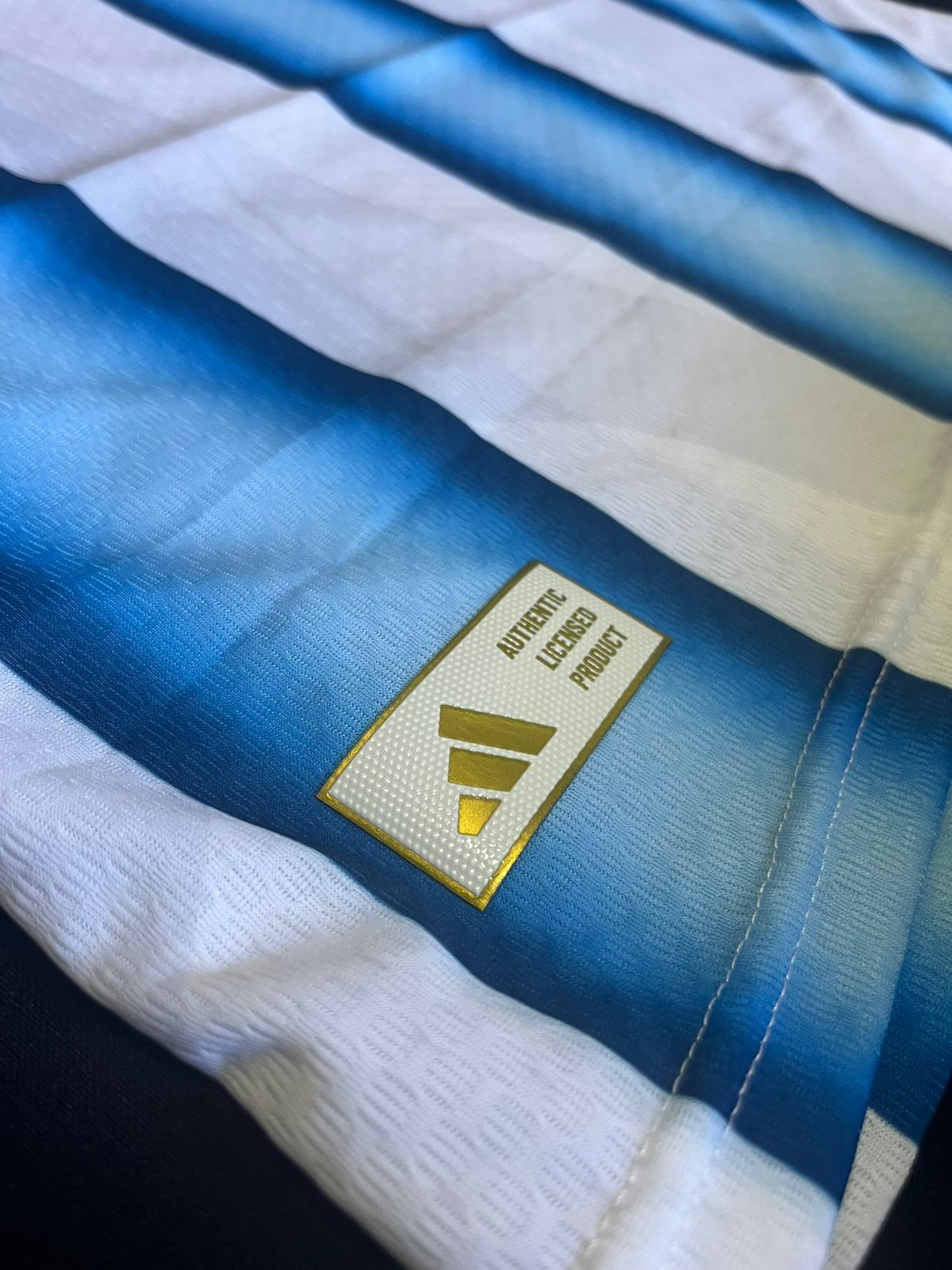 Remera Argentina