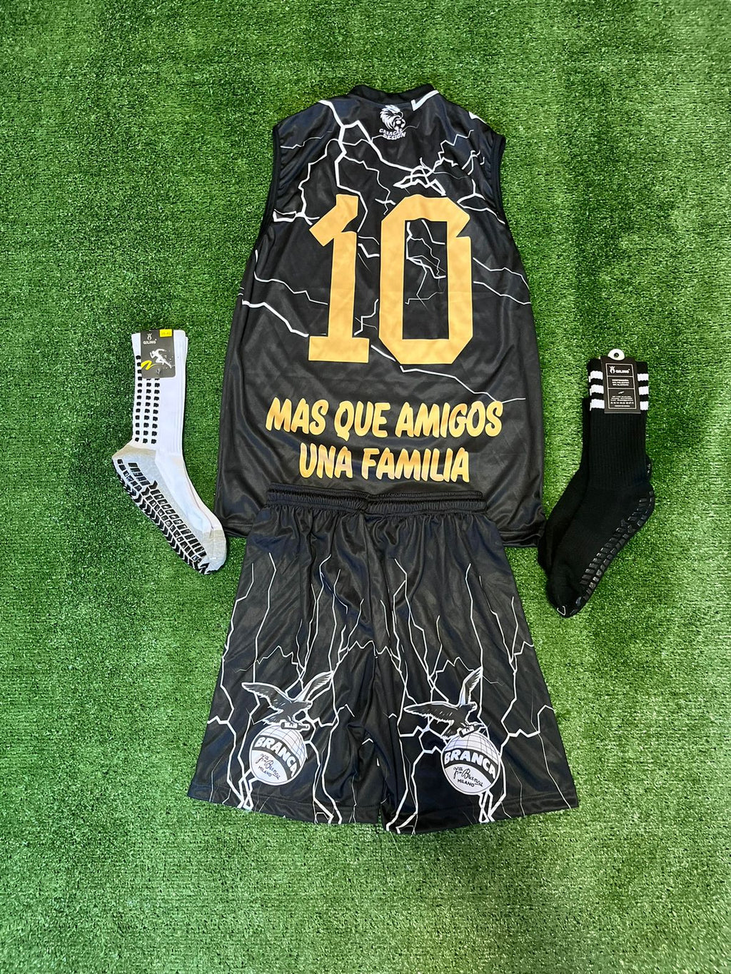 Conjunto musculosa stylo