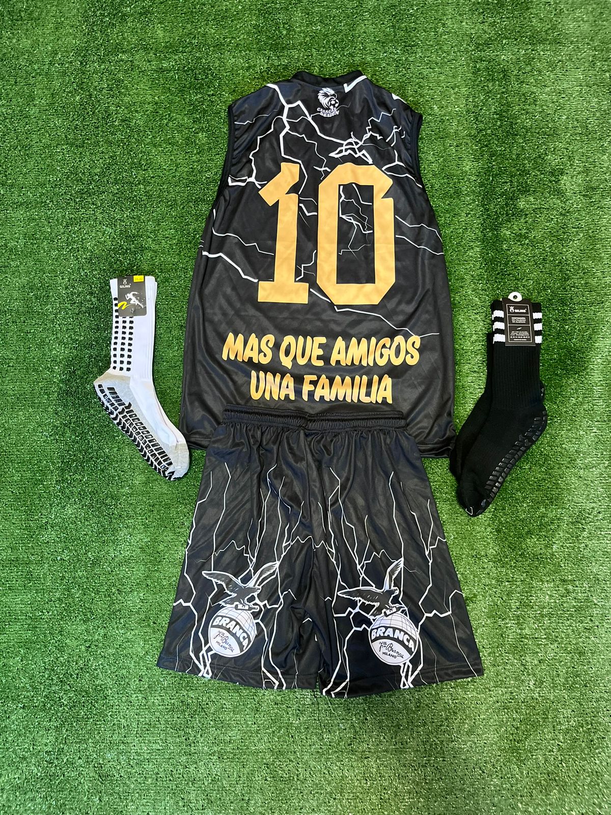Conjunto musculosa stylo